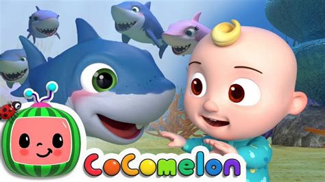 coco melon you tube|free coco melon videos.